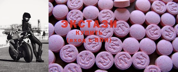 ECSTASY Богданович